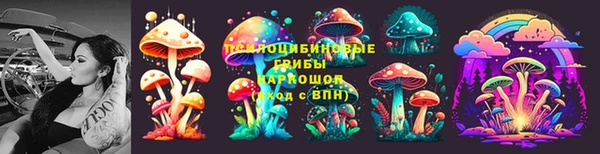 прущие грибы Абдулино